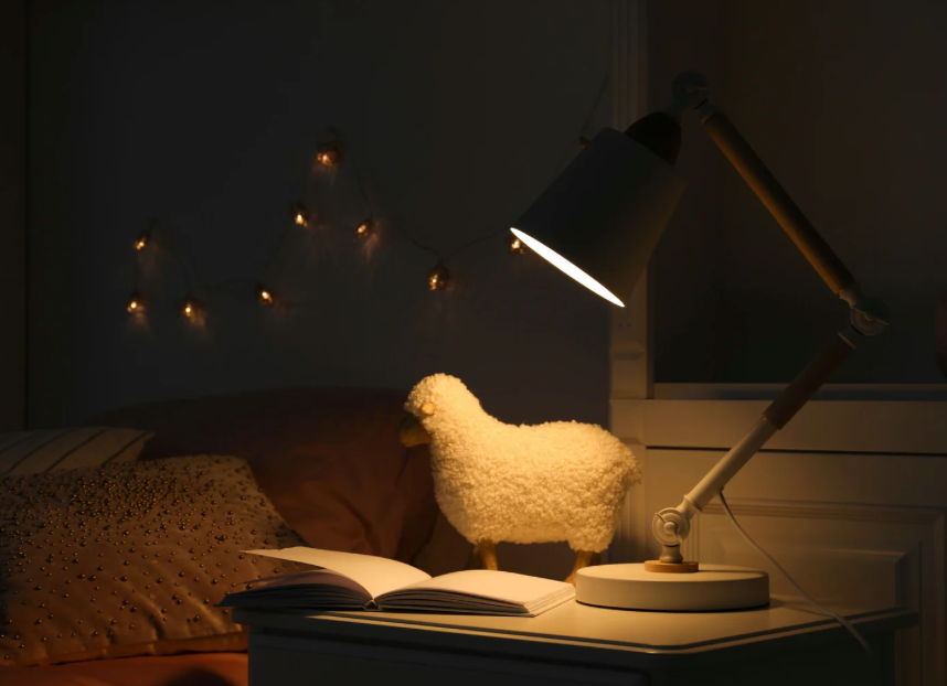 Bedroom & Accessories